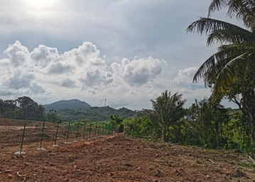 水保現(xiàn)場照片