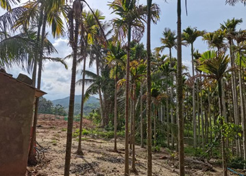 水?，F(xiàn)場照片